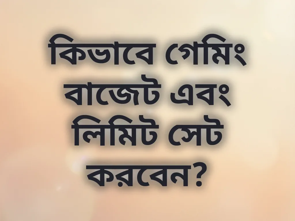 বাজেট গাইড